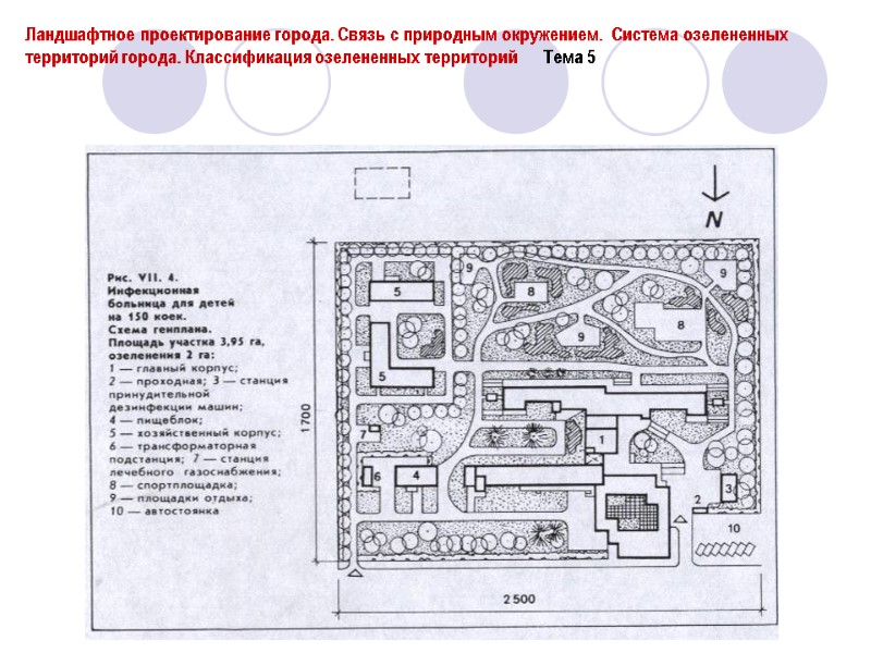 Ландшафтное проектирование города. Связь с природным окружением.  Система озелененных территорий города. Классификация озелененных